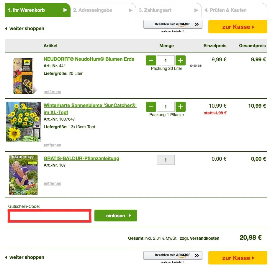 Baldur-Garten Gutscheincode einlösen