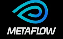 MetaFlow