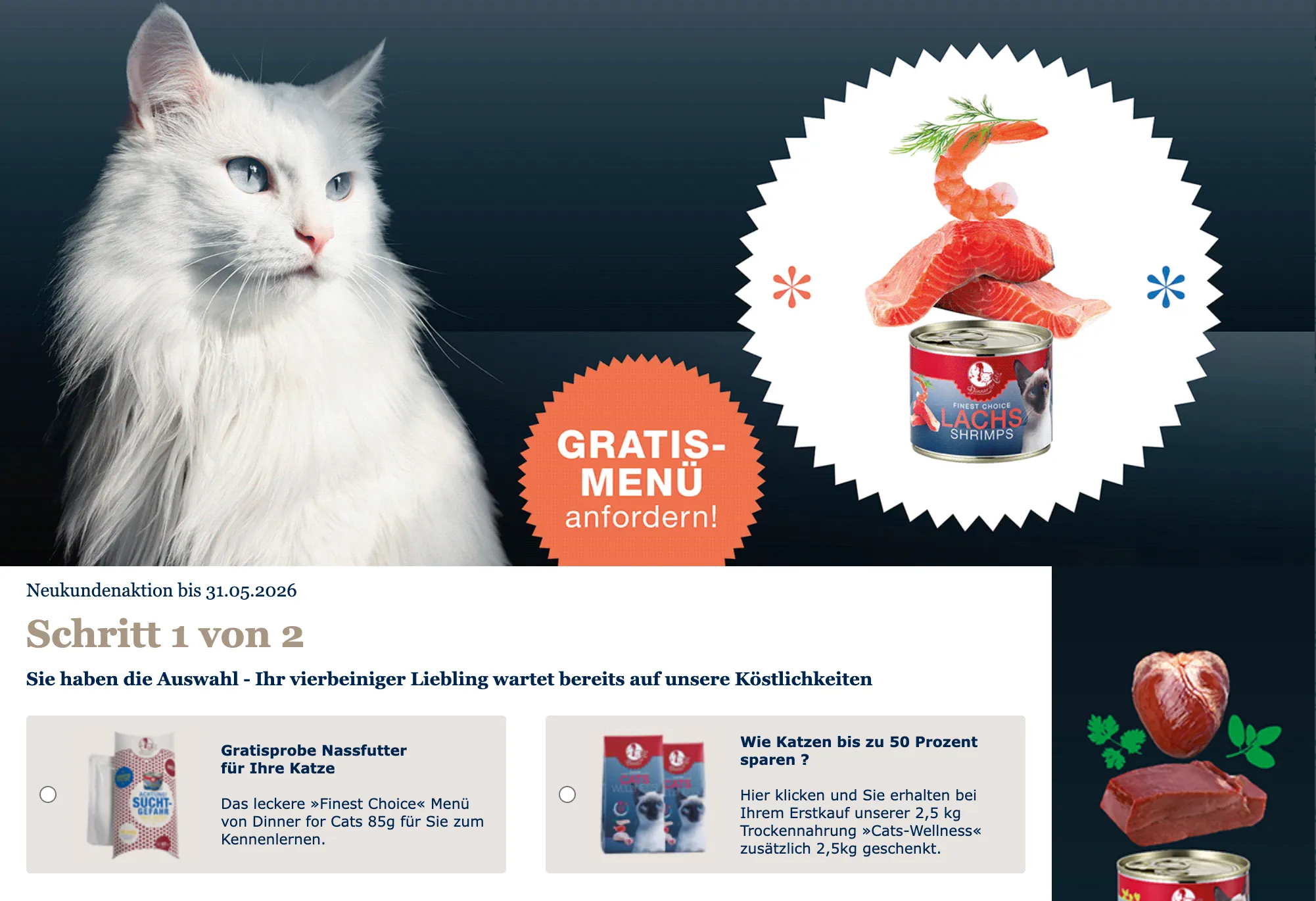 Gratisprobe Katzenfutter 2026: So bestellst du kostenlos zum Testen